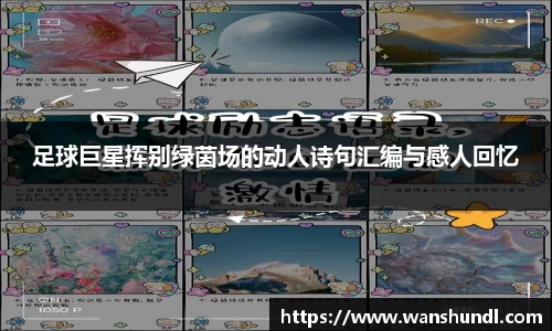 足球巨星挥别绿茵场的动人诗句汇编与感人回忆
